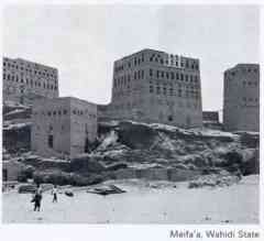 ���� ������ ��� ��� ����